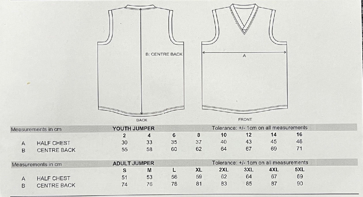 WegArt WEG Football Jumper Geelong Cats