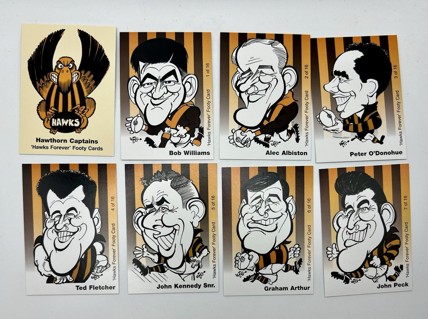 WegArt Hawthorn Hawks Captains Cards 17 card set