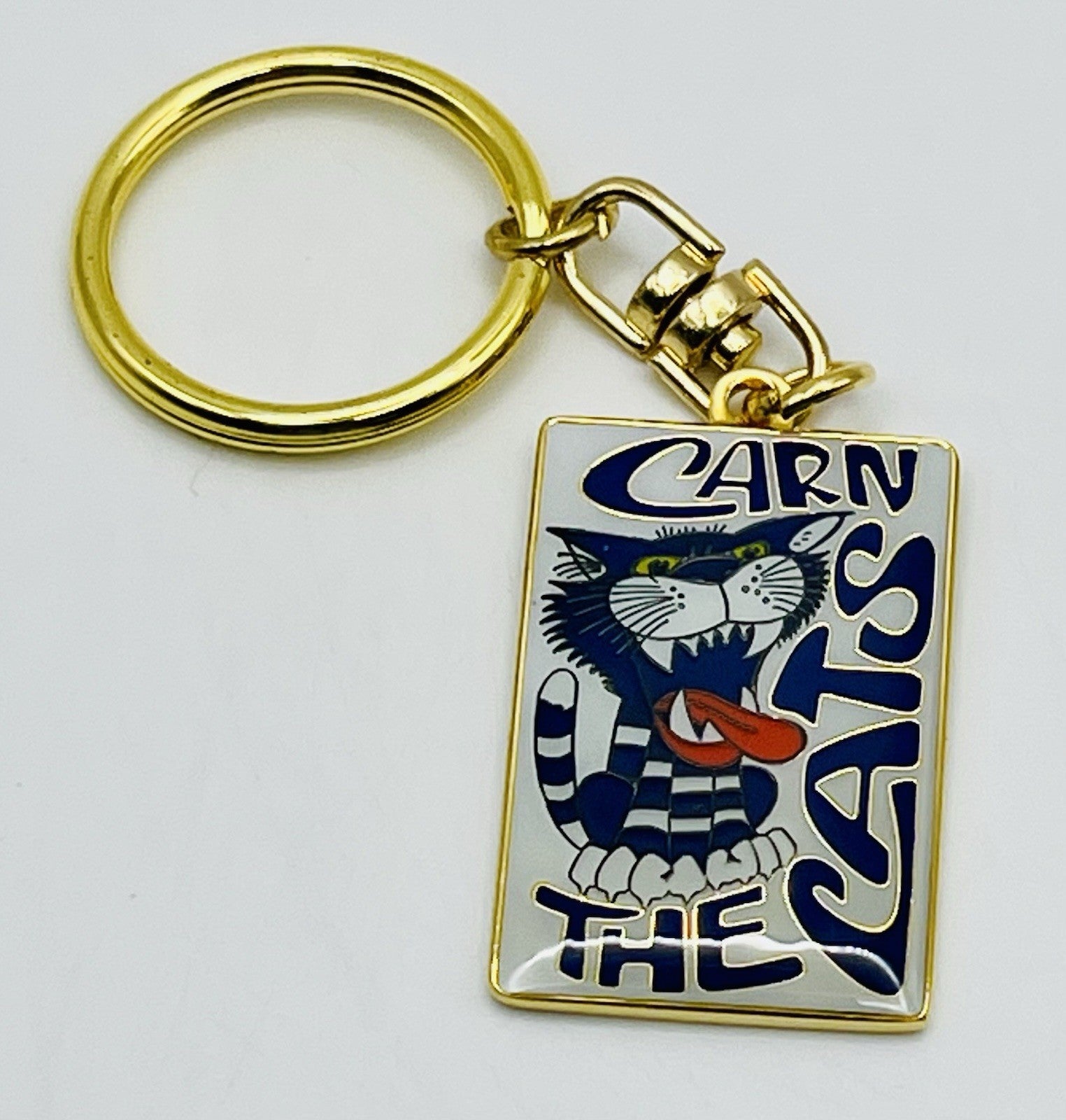 WEG WegArt Supporters Key Ring Geelong Cats