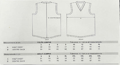 WegArt WEG Football Jumper Geelong Cats